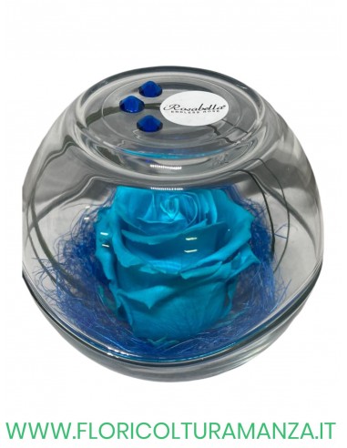 Rosa Grande Stabilizzata ROSABELLA IN SFERA DI VETRO