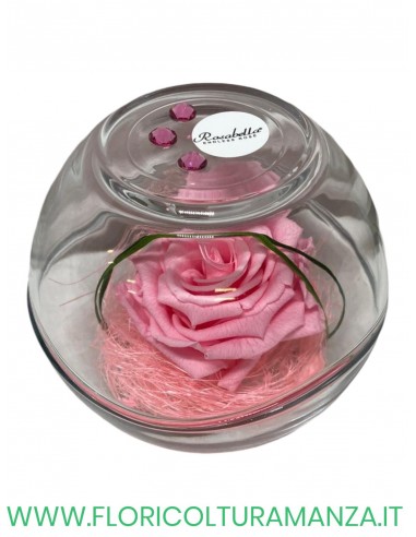 Rosa Grande Stabilizzata ROSABELLA IN SFERA DI VETRO