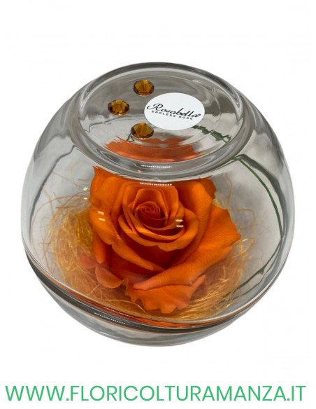 Rosa Grande Stabilizzata ROSABELLA IN SFERA DI VETRO