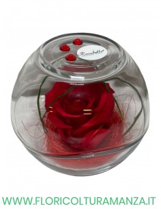 ROSABELLA rosa Piccola stabilizzata  in sfera di vetro 2