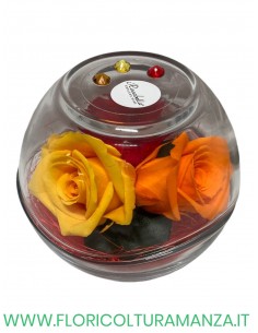 Rosabella tre boccioli di rose stabilizzate in sfera di vetro
