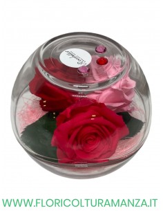 Rosabella tre boccioli di rose stabilizzate in sfera di vetro