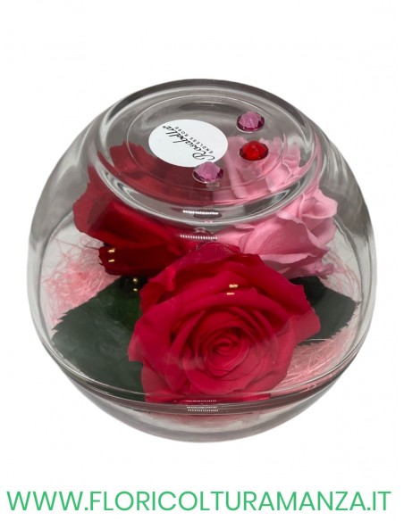 Rosabella tre boccioli di rose stabilizzate in sfera di vetro