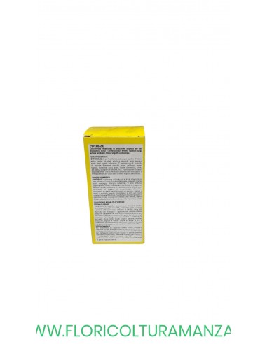 INSETTICIDA MULTINSETTO 250 ML