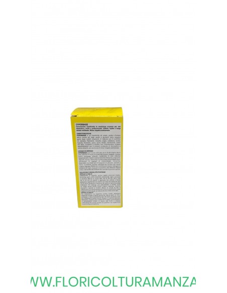 INSETTICIDA MULTINSETTO 250 ML