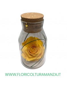 ROSA IN BOTTIGLIA