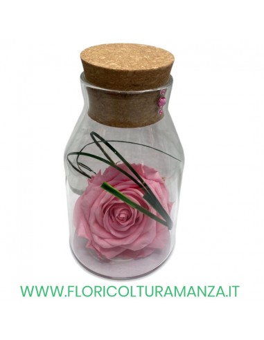 ROSA IN BOTTIGLIA