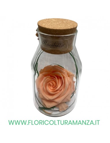 ROSA IN BOTTIGLIA
