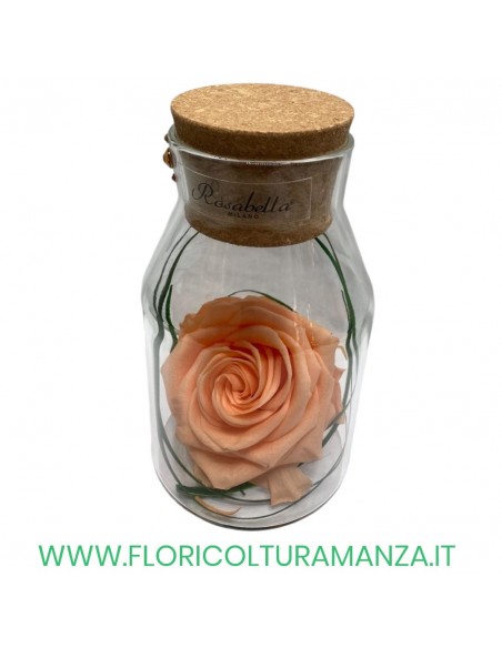 ROSA IN BOTTIGLIA