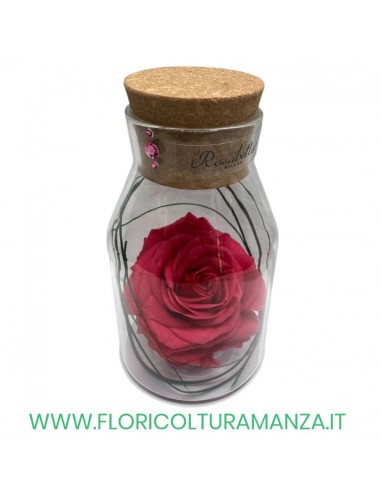 ROSA IN BOTTIGLIA