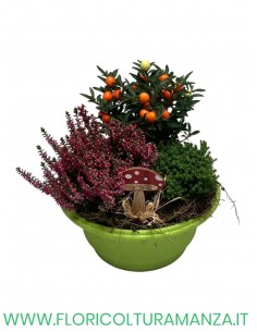 COMPOSIZIONE AUTUNNALE 2