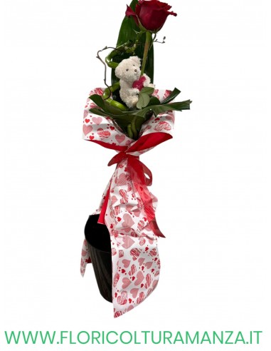 ROSA CON ORSETTO