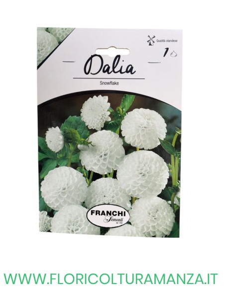 DALIA    1 BULBO