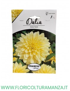 DALIA    1 BULBO 2