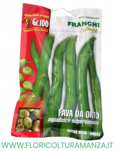 FAVA DA ORTO