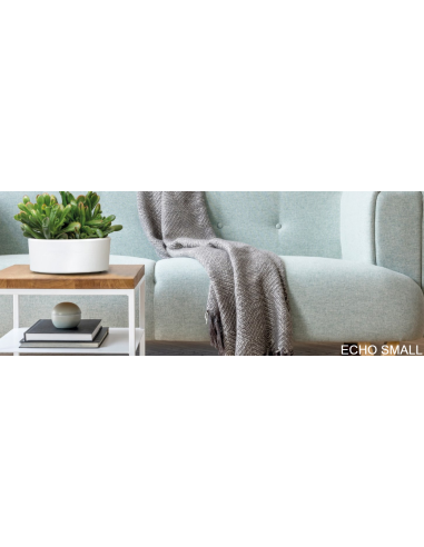 ECHO   SMALL