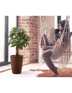 TYLUS ELEGANCE 2