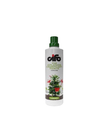 diplademia  e rampicanti 500 ml