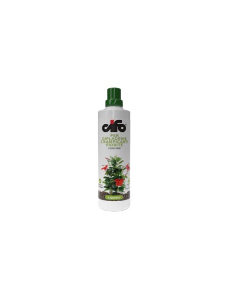 diplademia  e rampicanti 500 ml