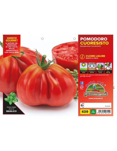 🍅 Pomodoro Cuore Ligure