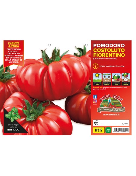 🍅 Pomodoro Costoluto Fiorentino