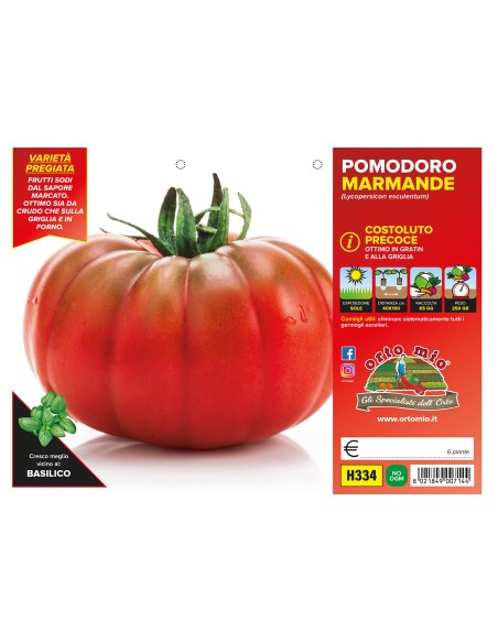 🍅 Pomodoro Marmande