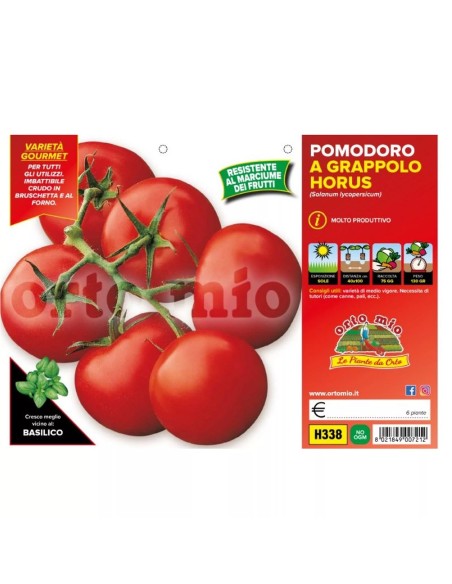 🍅 Pomodoro a grappolo Horus
