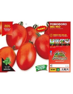 🍅 Pomodoro Big Rio 2