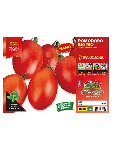 🍅 Pomodoro Big Rio