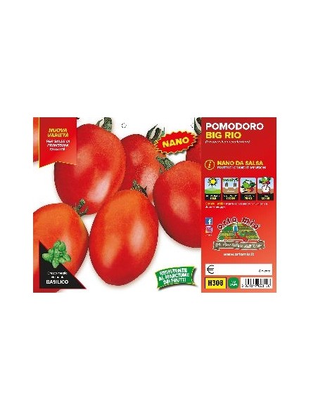 🍅 Pomodoro Big Rio