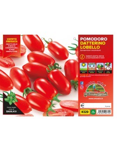 🍅 Pomodoro Datterino Lobello 2