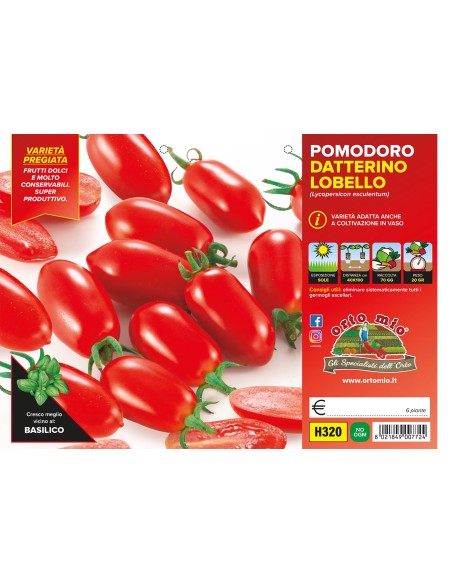 🍅 Pomodoro Datterino Lobello