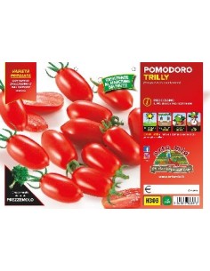 🍅 Pomodoro Datterino Trilly 2