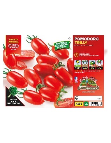 🍅 Pomodoro Datterino Trilly
