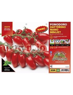 🍅 Pomodoro Datterino Nano 2