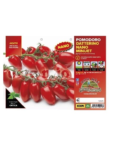 🍅 Pomodoro Datterino Nano
