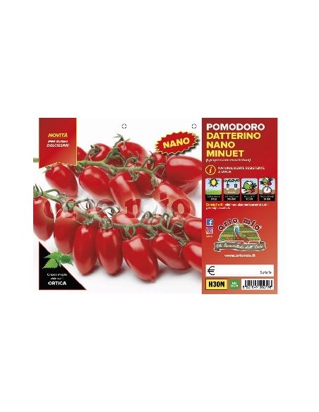 🍅 Pomodoro Datterino Nano