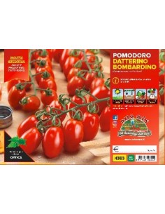 🍅 Pomodoro Datterino Bombardino 2