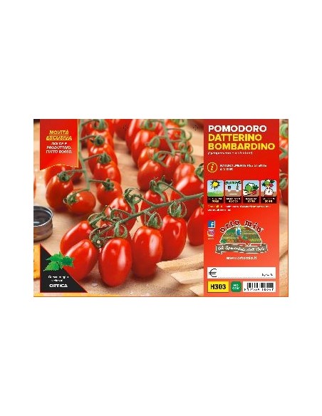 🍅 Pomodoro Datterino Bombardino