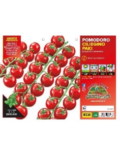 🍅 Pomodoro Ciliegino 2