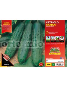 🥒 Cetriolo Classico 2