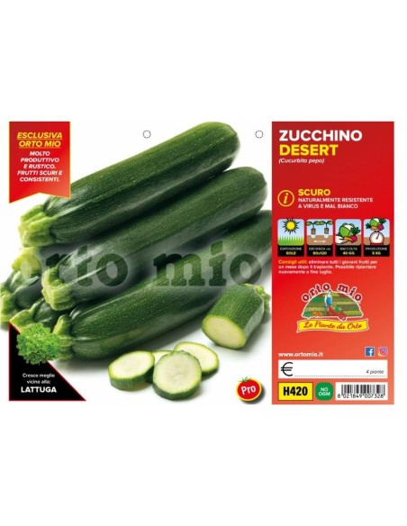 🥒 Zucchino Scuro