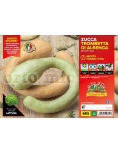 🎃 Zucca Trombetta 2