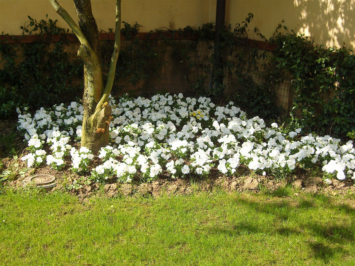 Progettazione giardini