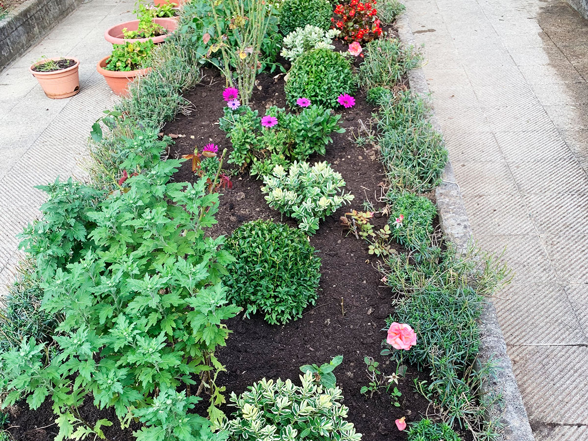 Progettazione giardini