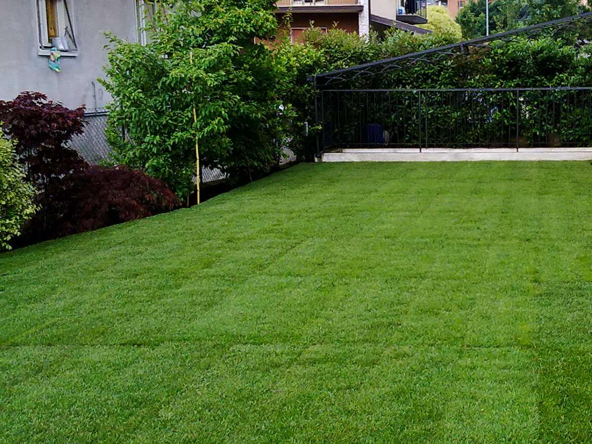 Progettazione giardini