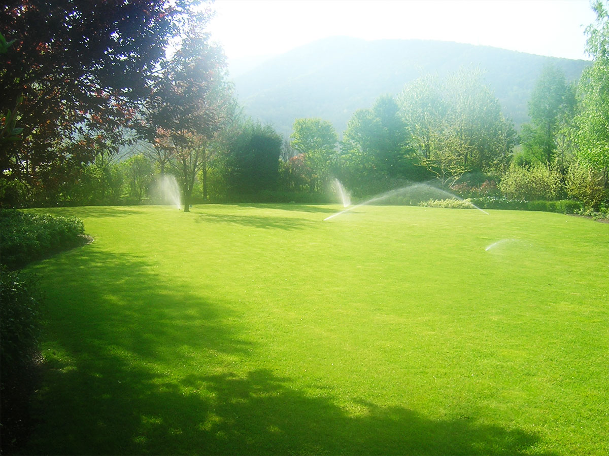 Progettazione giardini
